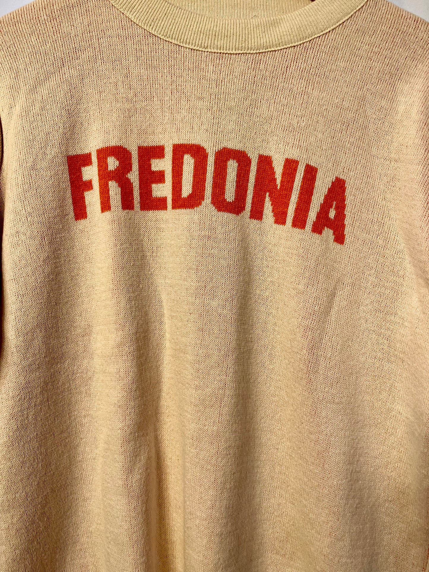 FREDONIA Classic Crewneck Unisex Sweater